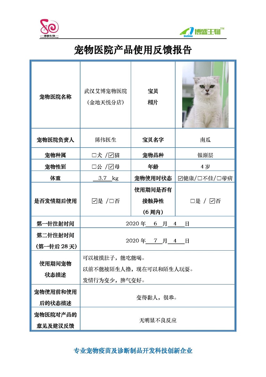南瓜